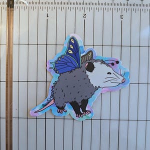 Adesivo farfalla opossum