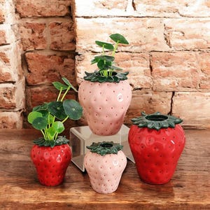 Puede incluir: Cuatro macetas de cerámica con forma de fresa de diferentes tamaños. Dos son rojas y dos rosas, cada una con una parte superior verde y frondosa. Las macetas están llenas de pequeñas plantas verdes, creando una exhibición decorativa caprichosa.