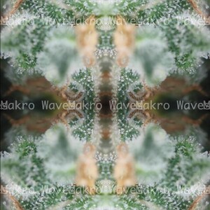 Seamless Makro Muster | Cannabis Blattstrukturen | 200x Vergrößerte Naturdetails | Digitales Design für Hintergründe & Drucke
