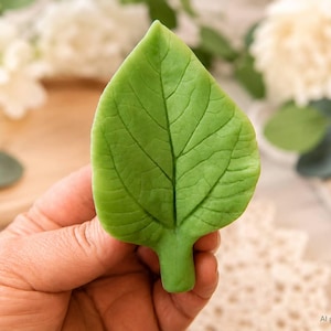 May include: A bright green, leaf-shaped object with a smooth, matte texture and clearly defined, embossed veins running from the central stem to the pointed tip. The leaf features a thick, short stem base and a symmetrical, teardrop-like shape.