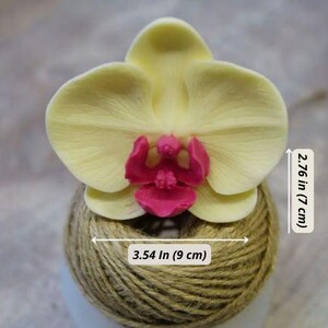 silicone flower molds for cake decorating, large silicone flower molds, silicone flower molds for resin, flower mould for marshmallow, soap flower mold, 3d flower soap molds, flower soap molds for sale, rose flower soap molds, peony flower silicone  molds, peony bud silicon form mold,  soap flowers how to make, small silicone flower soap molds, flower epoxi molds, 3d realistic flower mould, rose 3D silicone mold, russian marshmallow flower mold, soap flower mold, flower silicone mold for food