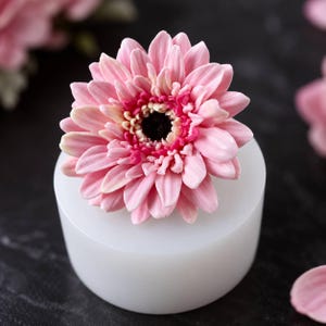 Könnte beinhalten: Eine hellrosa Gerbera-Blüte mit dunkler Mitte, die auf einer zylindrischen, halbtransparenten weißen Silikonform liegt. Die Blüte hat mehrere Schichten spitzer Blütenblätter, die von einem zarten Rosa zu einem tieferen Magentaton übergehen.