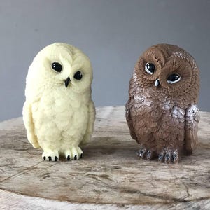 3D Owl Silicone Mold for Chocolate Large Wizard Owl Silicone Mould for Making Cake Topper Decorating  Magical Theme Fondant DIY Soap Candle