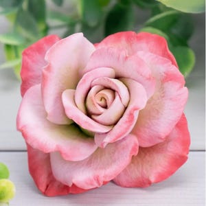 how to make flowers from marshmallows, how to make marshmallow flower bouquet, russian marshmallow flowers recipe, marshmallow tulips (recipe), russian marshmallow flowers recipe, russian flower mold, Bloom Rose Flower 3D Silicone Mold, flowers russian silicone mold, 3d flower blooms, 3d flower rose forms, how to make flower molds, how to make flower candles without molds, how to make candles with dried flowers, how to make flower chocolate bouquet, diy chocolate bouquet materials, soap molds