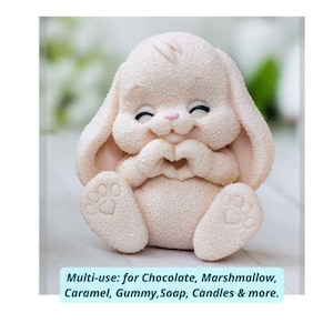 Baby 2D Cute Bunny Silicone Mold for Soap, Chocolate Marshmallow Fondant Candle For Baby First Birthday Cake Decorations Food Safe Moulds