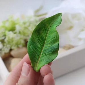 Może przedstawiać: Żywy zielony liść z wyraźnymi żyłkami. Liść jest trzymany w dłoni, ukazując jego naturalną fakturę i kolor. Tło jest rozmyte, podkreślając skomplikowane szczegóły liścia.