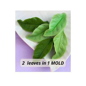 May include: A silicone mold for crafting, featuring four distinct leaf-shaped indentations with detailed veining. The mold is white and contains green leaf-shaped castings. The text 2 leaves in 1 MOLD is printed on the surface of the mold.