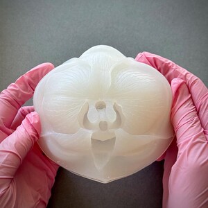 May include: A translucent, off-white orchid-shaped mold held by hands wearing pink gloves. The mold has detailed petal and stem impressions, and a flat base. The background is a solid gray.