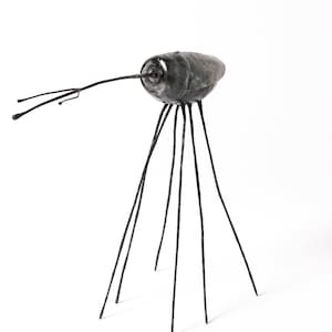 Cotton Weevil, I