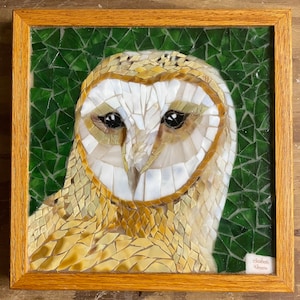 Barn Owl Mosaic
