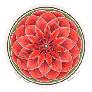 Könnte beinhalten: Ein rotes und grünes Mandala mit einem geometrischen Muster. Das Mandala ist von einem grünen Rand umgeben und trägt den Text "Passionate Evolution" unten.