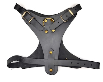 May include: Black leather harness with brass-colored buckles and rivets. The harness features adjustable straps and a central ring. The design is symmetrical, with a focus on functionality and durability.