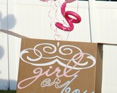 Gender Reveal Party Ballon Box-Vinyl Aufkleber NUR AUFKLEBER