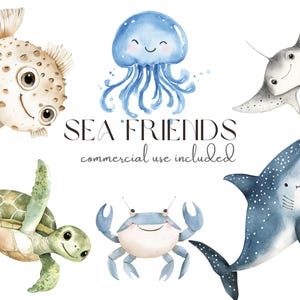 Aquarell Meer Freunde Clipart | Niedliche Ozean Tiere PNG | Hai, Qualle, Schildkröte & Krabbe | Transparente digitale Kunst zum Basteln