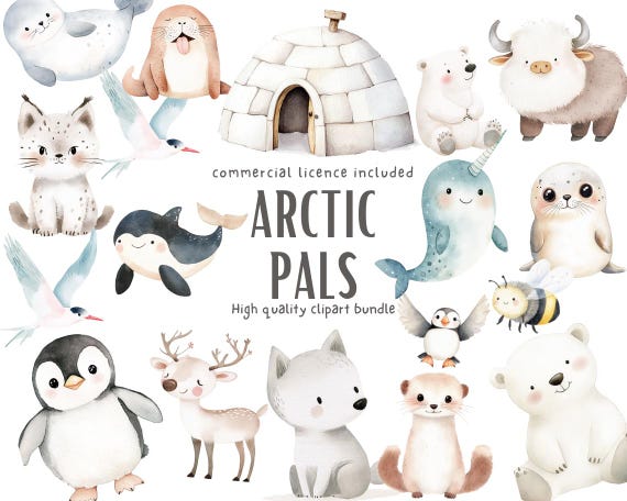 Arctic Pals Watercolor Clipart Bundle Cute Winter Animals With