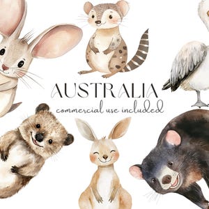 Aquarell Australische Tiere Clipart | Känguru, Koala & Quokka PNG | Niedliche Wildtiere Illustrationen | Transparente digitale Dateien für das Basteln