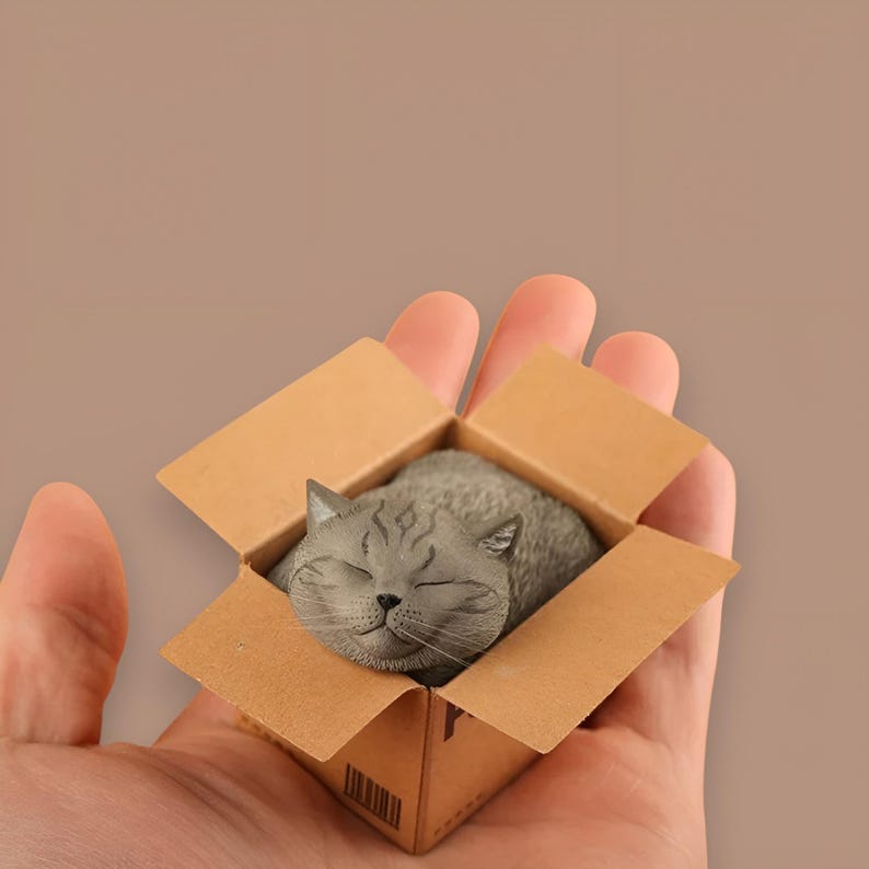 May include: A gray cat figurine sleeping inside a small cardboard box. The box is held in a person's hand.