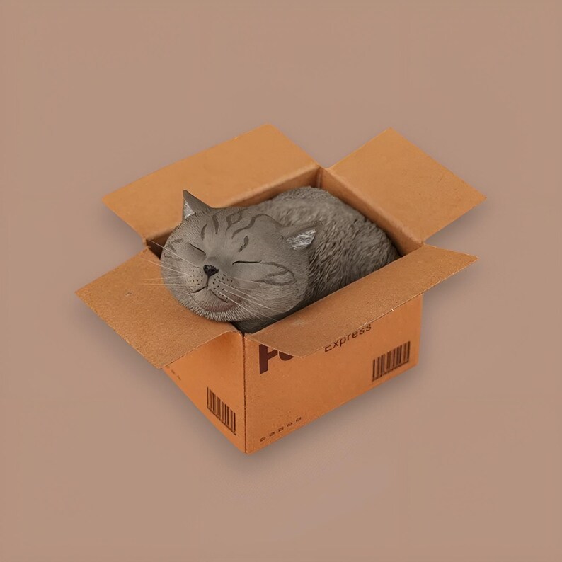 May include: A gray tabby cat with closed eyes is sleeping inside a brown cardboard box. The box has the word "Express" printed on the side.