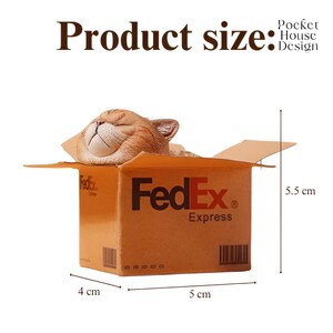 May include: A small cardboard box with the FedEx logo and "Express" printed on it. A sleeping orange cat figurine is inside the box. The box measures 5.5 cm tall, 5 cm wide, and 4 cm deep.