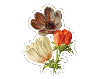 Anemone Spring Time Beautiful Flower Sticker - Antique Anemone Flower Illustration