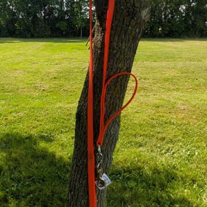 The Control Combo - Leash with attached traffic handle, durable Biothane material - Waterproof