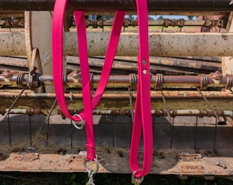Biothane-hondenriem, waterdicht - Veel kleuren beschikbaar, op bestelling gemaakt!