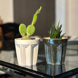 Puede incluir: Dos plantas en maceta, una con un cactus verde y la otra con una suculenta verde, en macetas de cerámica blanca y verde con un diseño geométrico.