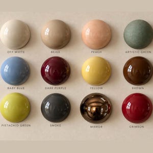 以下が含まれることがあります： Off White、Beige、Peach、Artistic Green、Baby Blue、Dark Purple、Yellow、Brown、Pistachio Green、Smoke、Mirror、Crimsonとラベル付けされた、様々な色の12個の円形で光沢のあるボタンのグリッド。各ボタンは滑らかで反射する表面を持っています。