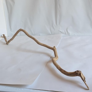 Op de afbeelding: Een natuurlijk gevormde, lichtbruine drijfhouttak met een gebogen, langwerpige vorm. Het hout heeft een gladde textuur met enkele zichtbare knopen en onvolkomenheden. Ideaal voor woondecoratie of knutselprojecten.