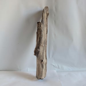 Könnte beinhalten: Ein vertikales Stück Treibholz vor weißem Hintergrund. Das Holz zeigt verschiedene Brauntöne und eine strukturierte Oberfläche mit Knoten und einer gebrochenen Oberkante. Ein natürliches, rustikales Objekt.