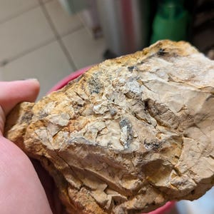 River Rocks from the Ozarks 2-5&quot; |Lake Rocks |Aquarium Decor |Rock Collectors |Terrarium Rocks |Decorative Rocks |Lapidary Stones |Rock Art