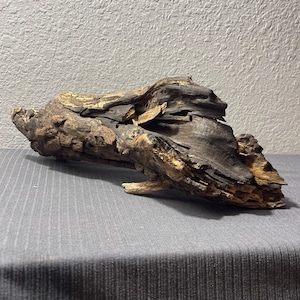 Gnarly Driftwood Log 15x5.5x6&quot; for Art, Sculpture, Aquarium or Terrarium Decor, Reptile Habitat Decor, Atrium Wood, Home Decor, Biotope Wood