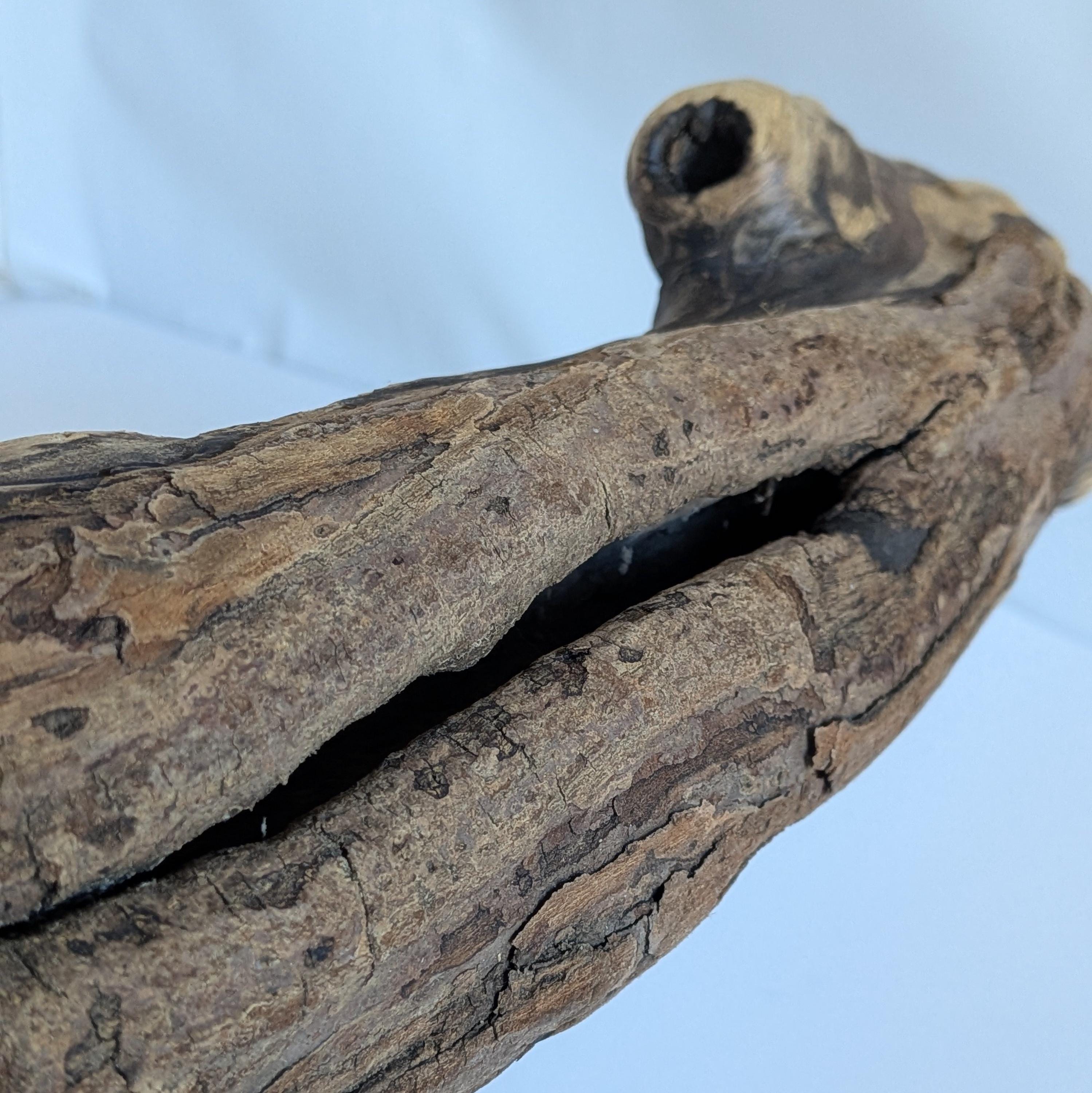 24インチ 渦巻き模様の流木の枝 ホームデコレーション 水槽用 - Etsy 日本