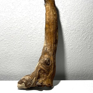 Driftwood Branch 16x4x3” for Art, Sculpture, Aquarium or Terrarium Decor, Vivarium Wood, Home Deco, Driftwood Lighting, Nature Gift