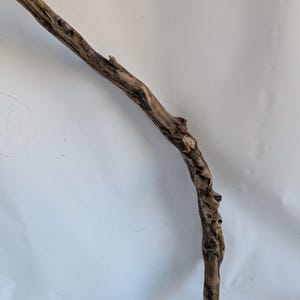 May include: A naturally weathered piece of driftwood, curved in shape, with a textured surface. The wood shows various shades of brown, with knots and imperfections adding to its rustic charm. Suitable for home decor or craft projects.