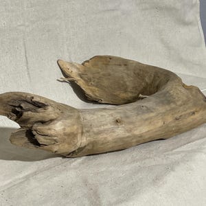 Curved Driftwood Log for Art, Sculpture, Aquarium or Terrarium Decor, Vivarium Wood, Coastal Decor, Reptile Habitat Driftwood, Centerpiece