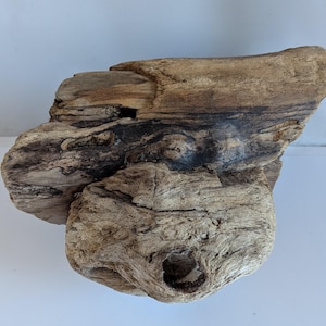 Könnte beinhalten: Ein Stück Treibholz mit natürlichem, verwittertem Aussehen. Das Holz ist eine Mischung aus hell- und dunkelbraun, mit sichtbarer Maserung und Knoten. Das Treibholz hat ein Loch und eine raue, strukturierte Oberfläche.