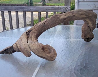Twisted Driftwood Sculpture: Knotty Stump for Aquarium, Terrarium, Beach Decor