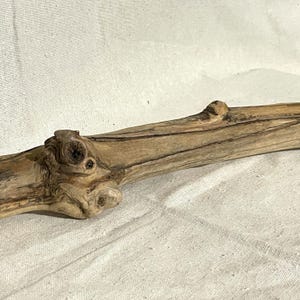 Peut inclure: Un morceau de bois flotté de couleur brun clair et de texture rugueuse. Le bois présente un nœud et quelques petites bosses. Le bois flotté repose sur un tissu blanc.