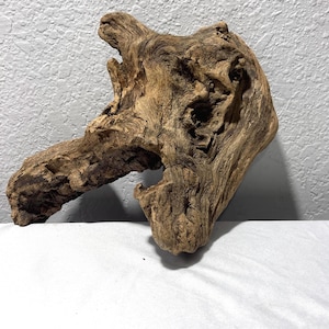 Driftwood Burl Sculpture, Natural Root, Aquarium & Terrarium Decor