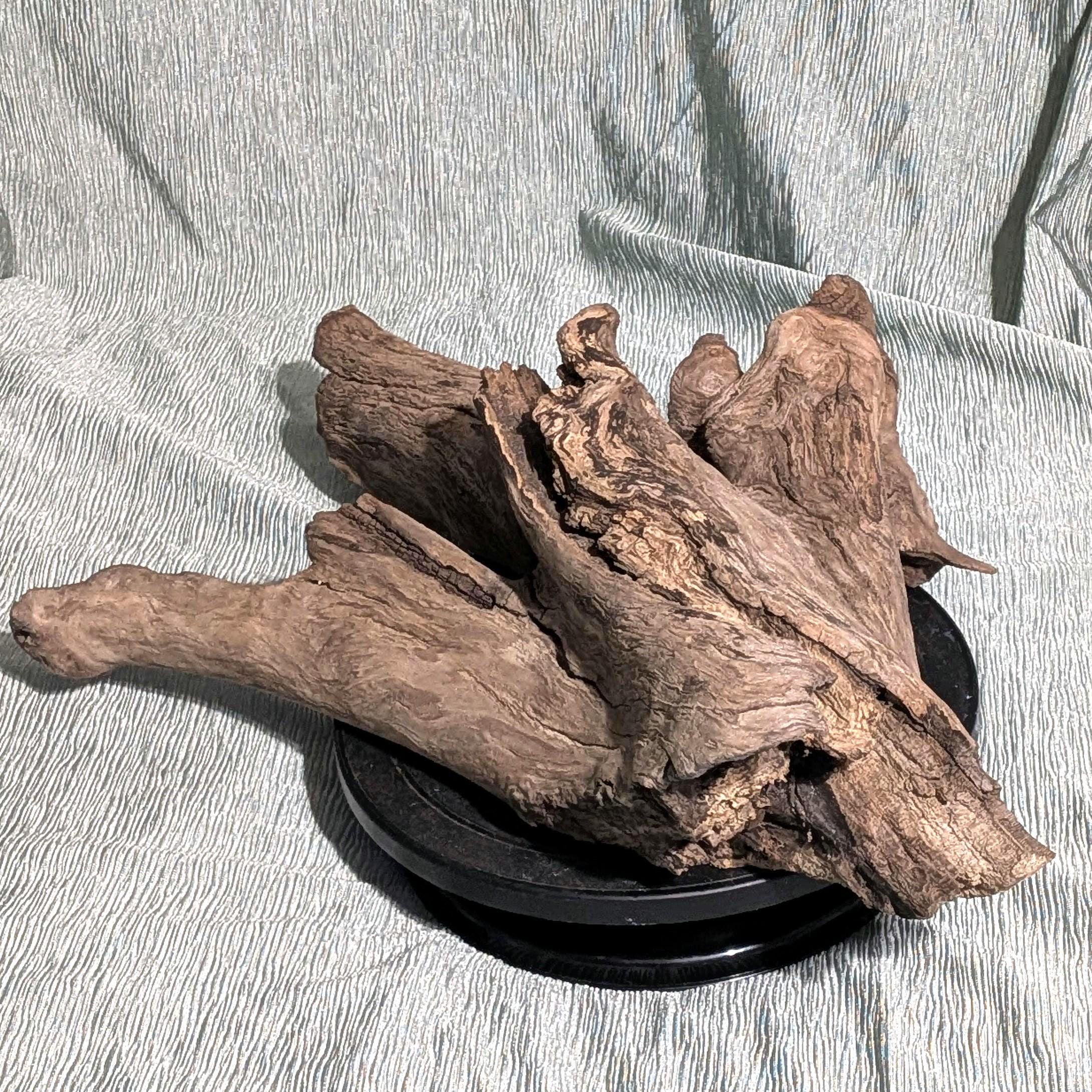Extra large driftwood for garden - Etsy 日本