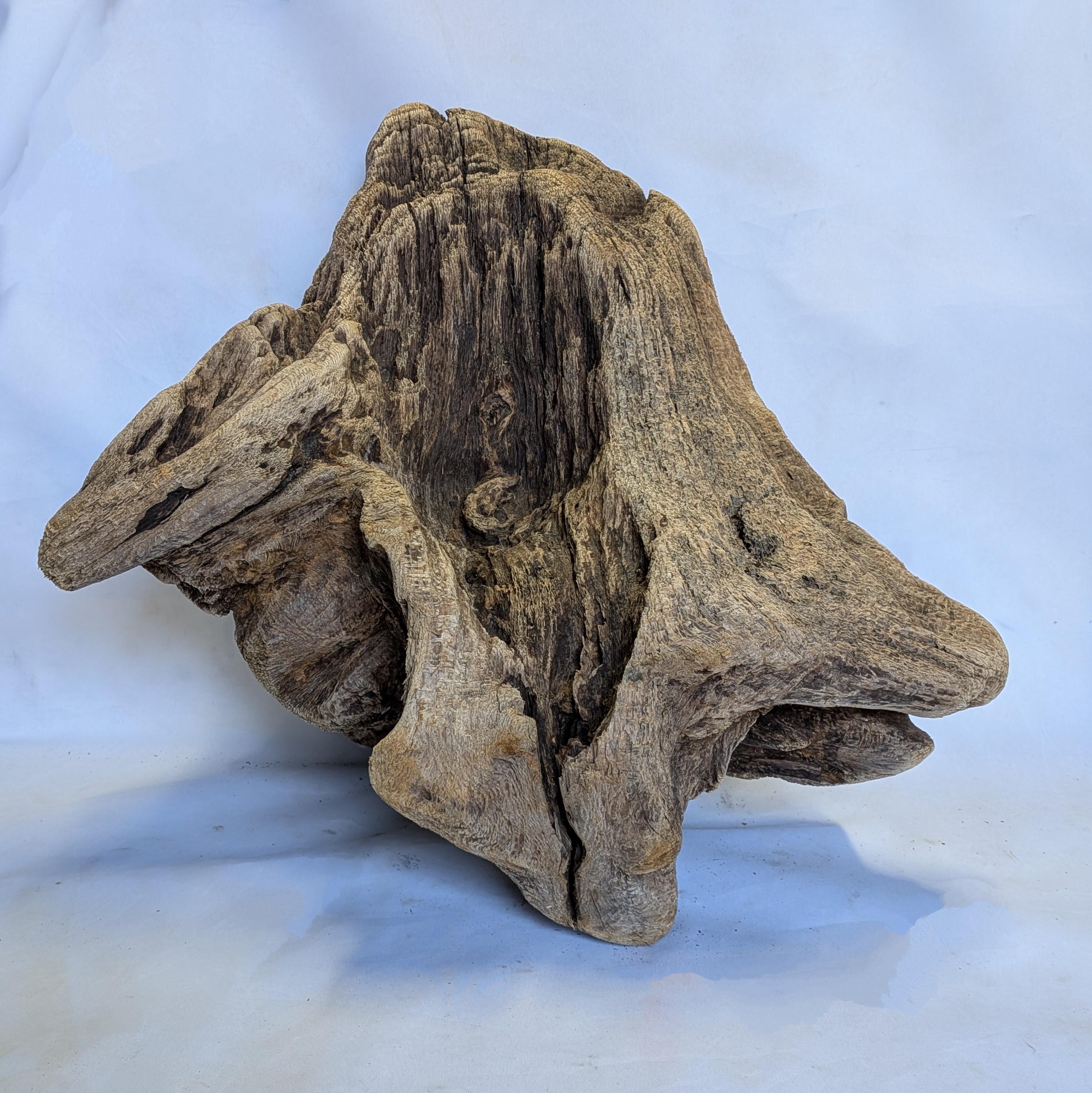 Extra large driftwood for garden - Etsy 日本