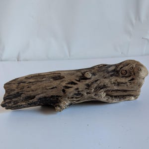Könnte beinhalten: Ein Stück Treibholz, verwittert und strukturiert, mit natürlichem, organischem Aussehen. Das Holz ist eine Mischung aus hellen und dunklen Brauntönen, mit Ästen und Löchern, die seinen einzigartigen Charakter ausmachen. Das Treibholz ist etwa 30 cm lang.