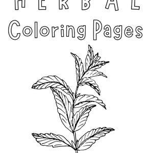 Herbal Coloring Pages | Printable Herbal-Based Coloring Sheets for Kids | Introduction to Herbs | Educational Fun for Children