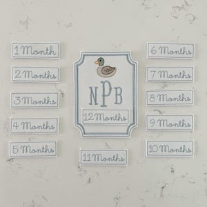 Cartões mensais bordados personalizados para marcos do bebê para meninos, cartões bordados para marcos do pato-real