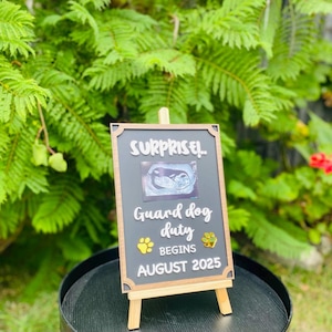 Baby Announcement | Baby Reveal | Acrylic Gender Reveal Sign | Custom Plaque | Celebration | Party decor | Event Sign | Custom Sign | Baby