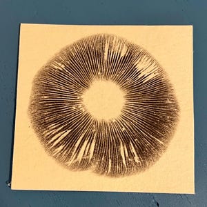 May include: A square, cream-coloured card displaying a detailed print of a mushroom's underside. The print shows a circular pattern of dark brown gills radiating from a central point, creating a striking contrast against the lighter background. The card is set against a blue surface.