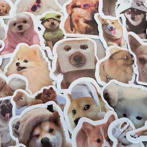 Pegatinas para perros - Juego de 100 pegatinas - Vinilo y resistente al agua