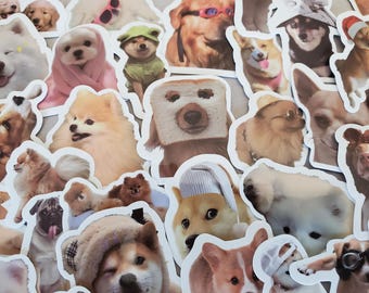 Dog Stickers - Set of 100 Stickers - Vinyl & Waterproof