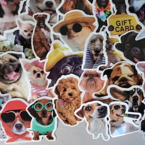 Pegatinas de perrito - Juego de 100 pegatinas - Vinilo e impermeable